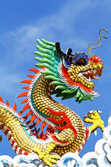 Fototapeta na wymiar Chinese dragon