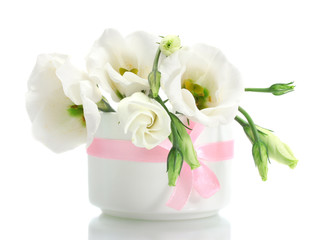 beautiful spring flowers in vase isolated on white