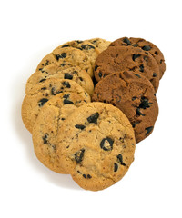 shortbread cookies with chocolate chip