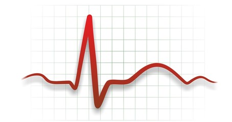herz medizinisch 31b
