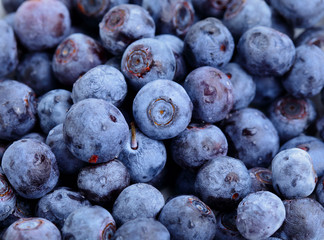 blueberry