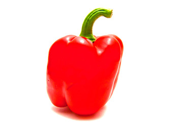 Single red pepper close-up on white