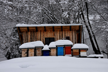 colorful beehives in the snow