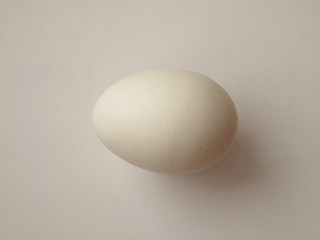egg close up on white background