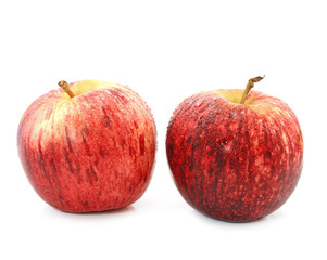 apple isolated on white