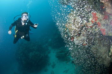 Scuba diver looks at glass fish