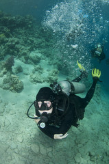scuba diver swims on coral reef