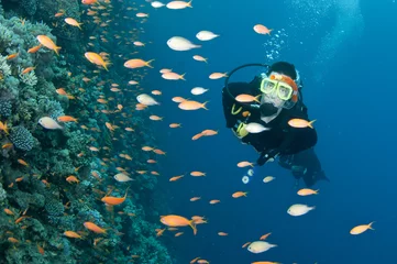 Deurstickers scuba diver swims on coral reef © JonMilnes