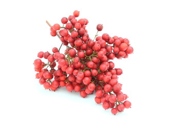 Bacche rosse di Nandina domestica - Nandina berries