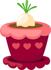 radish in a pot