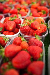 farmers market series - fresh strawberries