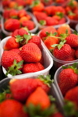 farmers market series - fresh strawberries