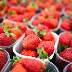 farmers market series - fresh strawberries