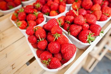 farmers market series - fresh strawberries