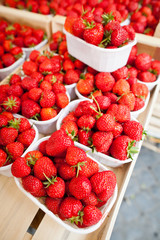 farmers market series - fresh strawberries