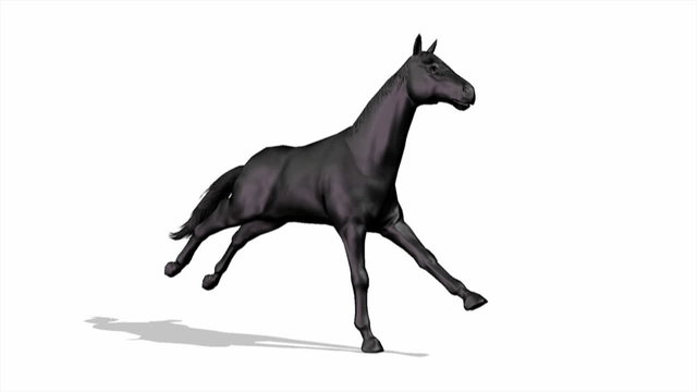 馬