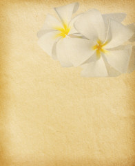 old paper with tropical flowers. Plumeria