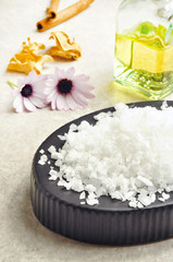 Wellness spa