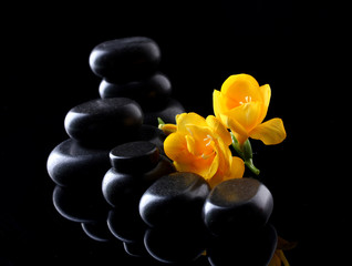 Obraz na płótnie Canvas Spa stones and yellow flower on black background