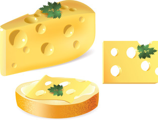 cheese and sandwich with cheese  isolated on white