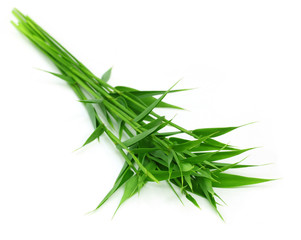 Fototapeta premium Decorative bamboo leaves