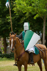 Chevalier vert et blanc