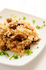 A delicious pilaf with meat