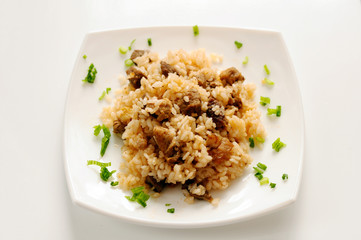 A delicious pilaf with meat
