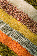 colorful striped rows of dry grains