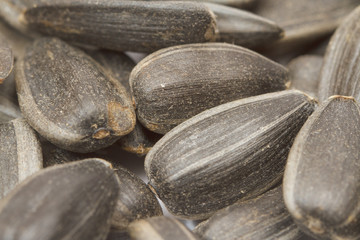 Sunflower seeds