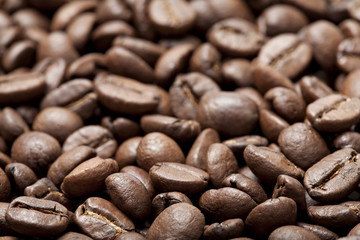 Coffe beans