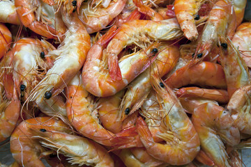Shrimps