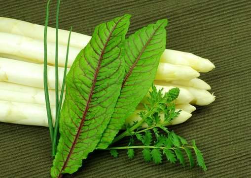 Spargelbund mit drei Kr&auml;uter