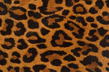 Foto op Plexiglas Patroon met luipaardprint © Sergey Dashkevich