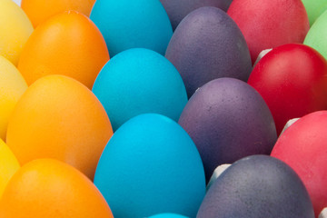 eggs