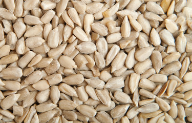 seeds