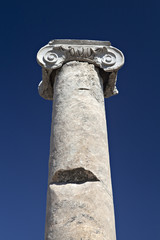 Head of column