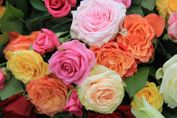 Rose bouquet in bright colors