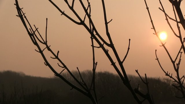 &agrave; laube