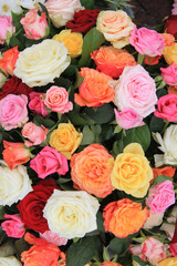Rose bouquet in bright colors