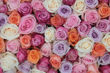 Obraz na płótnie Canvas Pastel róża kwiaty ślubne