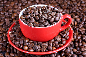 Fototapeta premium Cup on the saucer with coffee beans