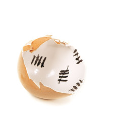Broken egg shell