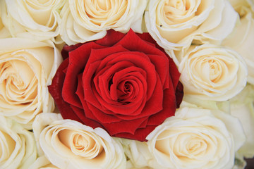 red and white roses bridal arrangement