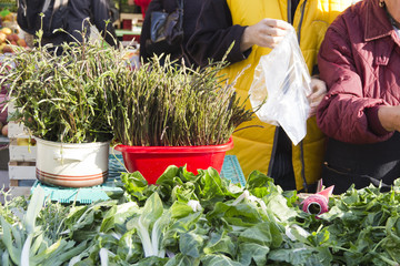 Selling colourful fresh organic vegetables on market