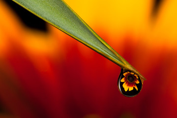 Water drop reflection