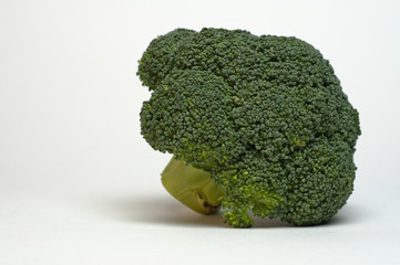 A broccoli on white background