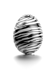 Zebra Ei