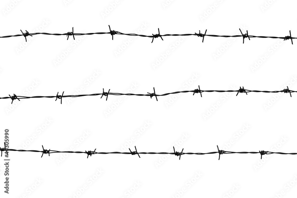 Wall mural barbed wire