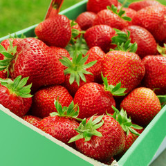 Freshly picked strawberries